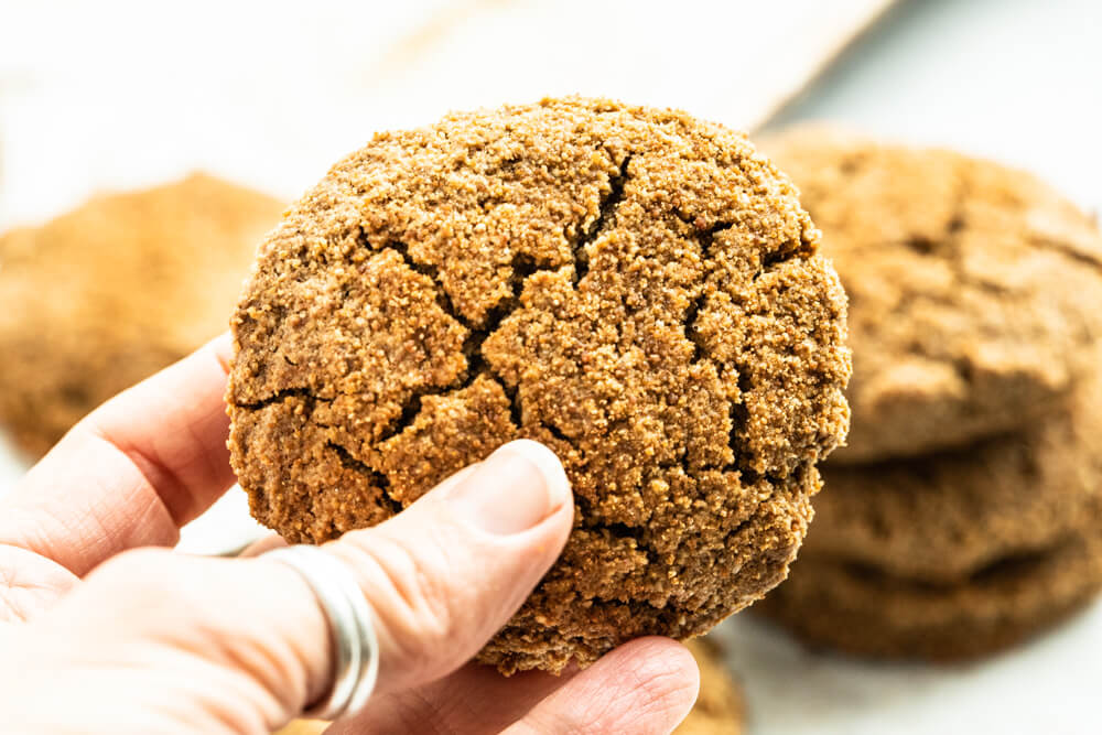 close up of hand holding one gingerbread cookie