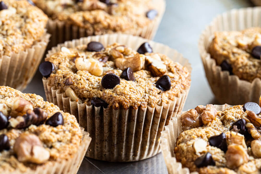 close up of chocolate chip muffin