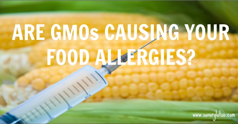 Are GMOs Causing YOur Food Allergies - savorylotus.com