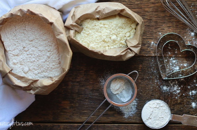 All About Grain Free Flours | www.savorylotus.com