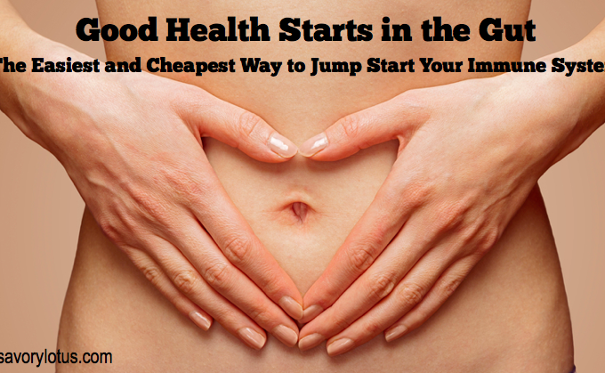 gut health, digestion, fermented foods, antibiotics