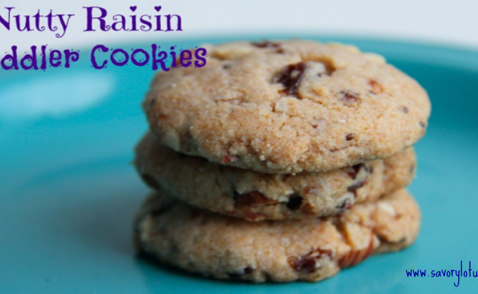 Nutty Raisin Toddler Cookies savorylotus.com